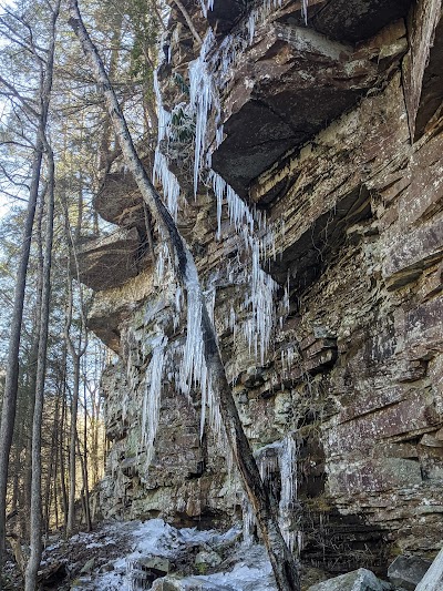 Soak Creek State Scenic River