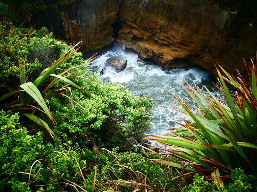 MoaTours New Zealand - Thumbnail