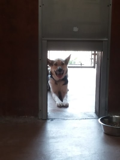 Photos of Humane Society of Skagit Valley