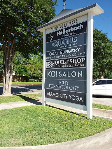 Koi Salon - Visual