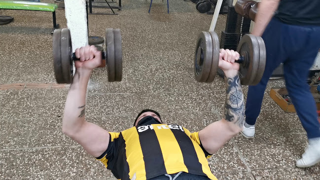 Jungla Gym
