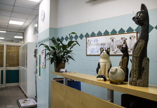 Professional Association Veterinary Villa Bonelli - Thumbnail