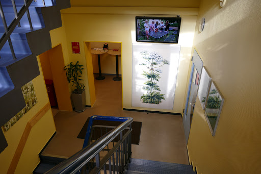 Sabine Blindow-Schulen Hannover | Adolfstraße - Thumbnail