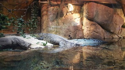 Photos of Dubai Aquarium & Underwater Zoo