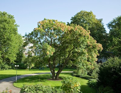 Photos of Bethesda Spital, Basel