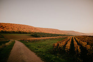 Photo n°4 de Mairie de Reulle-Vergy à Reulle-Vergy (Hôtel de ville)