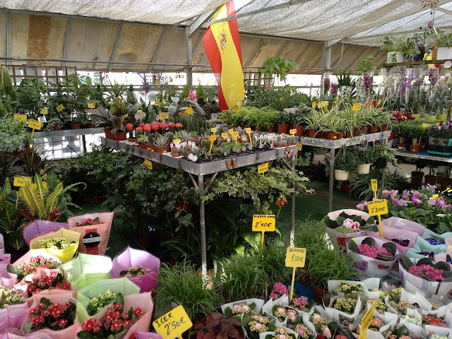 Valentin Garden Center