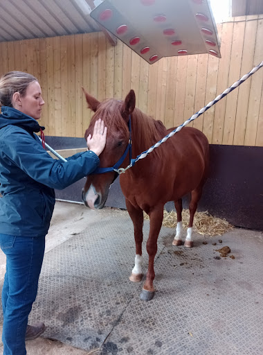 Pascaline COSSY - Masseuse Equin & Canin - Thumbnail