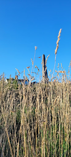 Morfa Wetlands - Thumbnail