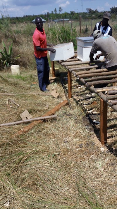 Photos of GIBEA AGRO & LIVESTOCK PRODUCTION AND DEMONSTRATION CENTER
