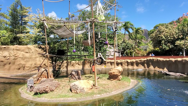 Honolulu Zoo by null