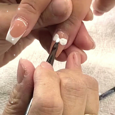 Red Persimmon by null