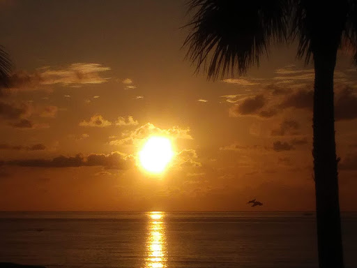 A1A & Hillsboro Blvd - Thumbnail