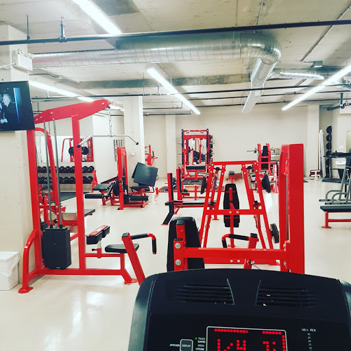 CSS GYM - Visual