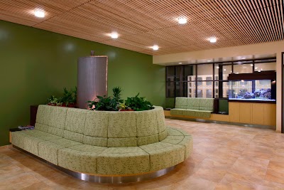 Photos of Alicia Pet Care Center
