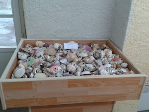Photo n°13 de la boutique du nacrier à Charroux (Artisanat)