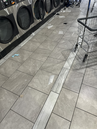 Wolf Express Laundry - Visual