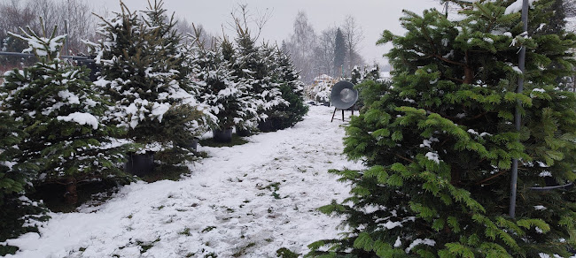 Szkółka roślin ozdobnych