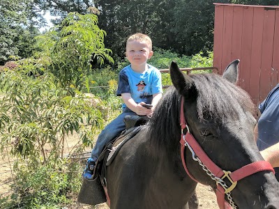 Carriage Shack Farm