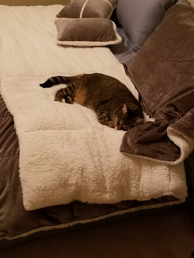 Bob's Beds Mattress Outlet - Thumbnail