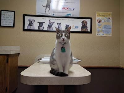 Brookwood Animal Clinic