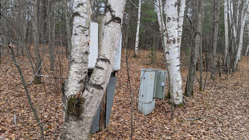 Jack Pine Park - Visual