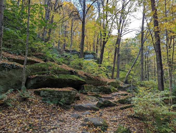 Liberty Park, Twinsburg Ledges Area in Aurora Ohio