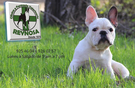 Clinica Veterinaria Reynosa