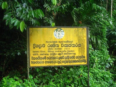 Photos of දියදාව රක්ෂිත වනාන්තරය