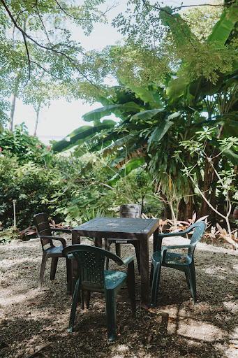 nosara beachfront rentals