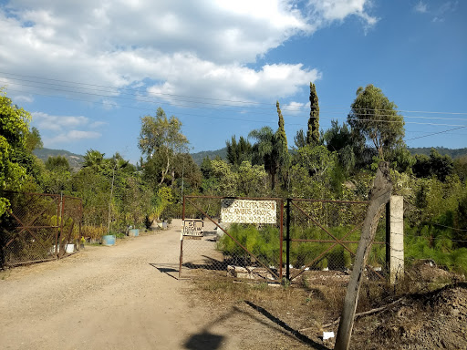 Plantas Y Jardines De Zapotlán - Thumbnail