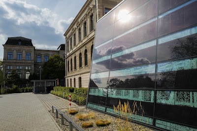 university