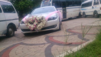 Photos of Ameri Rent A Car