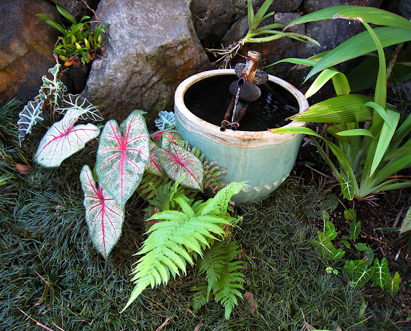 Hale Kai Hawaii Suites - Oceanfront Hilo Lodging by null