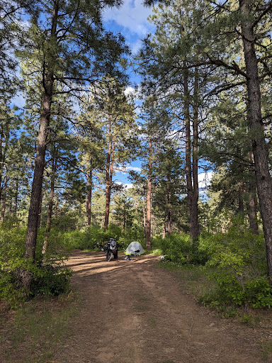 Turkey Springs Dispersed Camping - Thumbnail