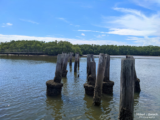 Cedar Key Railroad Trestle Nature Trail - Thumbnail