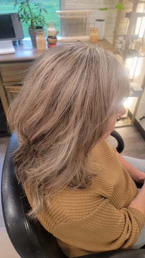 Salon M Evolve and Heal - Thumbnail