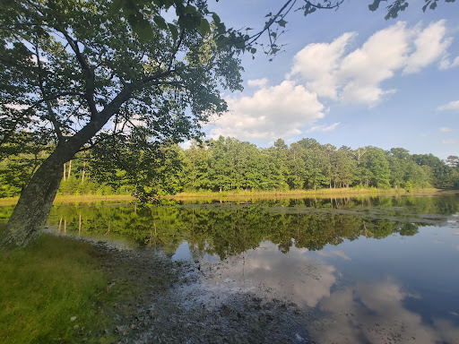 Tranquility RV & Campground - Thumbnail