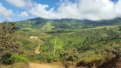 school