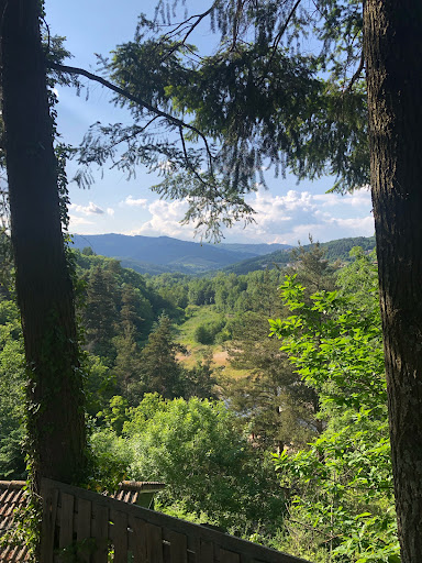 Photo de Camping La Douce Ardèche à Désaignes (07570)