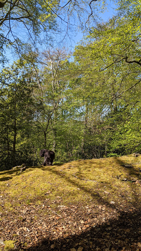 Medmenham Camp Iron Age Hill Fort - Thumbnail