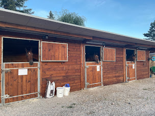 Photo n°3 de Equi'Go Vet à Goxwiller (Chirurgien orthopédiste)