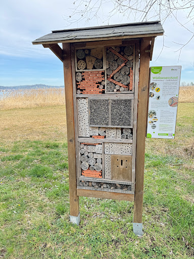 Insektenhaus Riedgiessen - Thumbnail