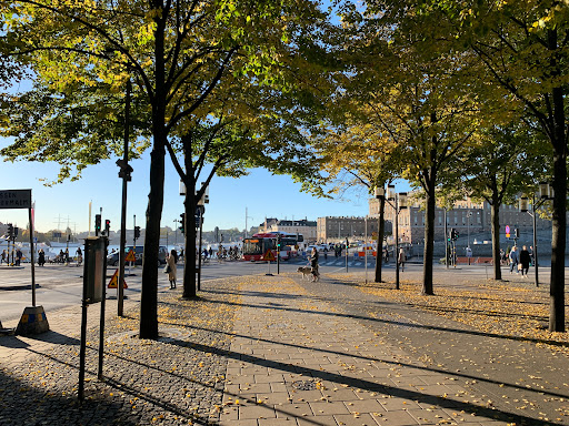 Karl XII:s torg