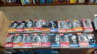 Photos of Mirror Books