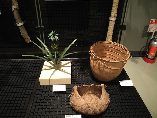 National Museum of Ethnology