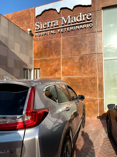 Sierra Madre Veterinary Hospital Gallery - Mexico