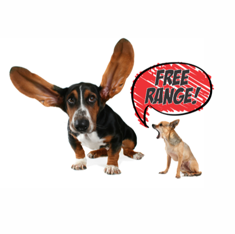 The Natural Pet Food Company - Thumbnail
