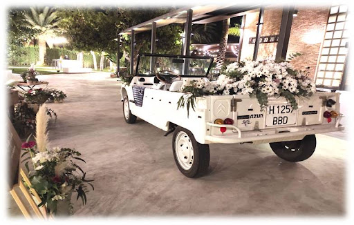 2CV Holidays - Thumbnail