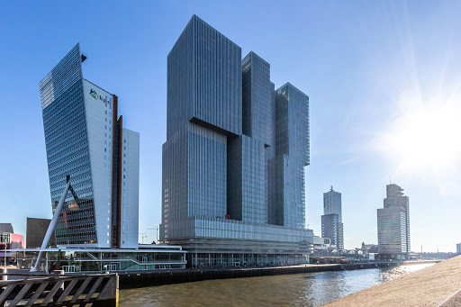 The Rotterdam